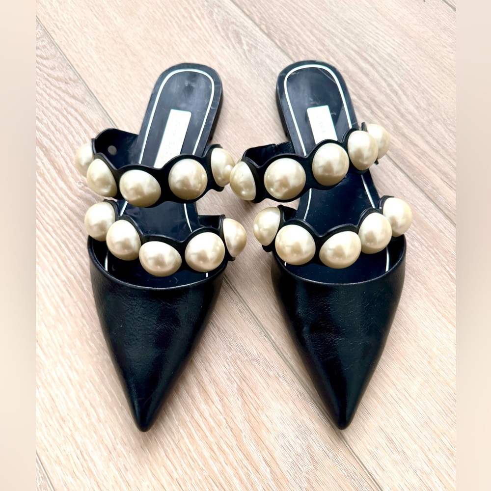 Zara flats. Absolutely gorgeous and classy. Brand new